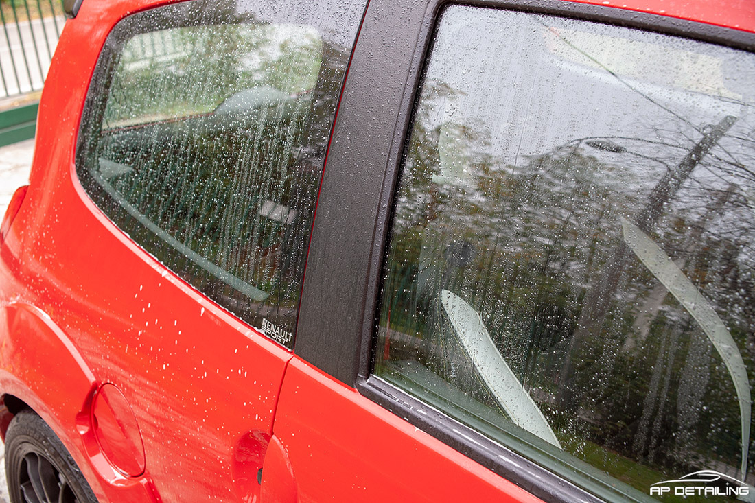 APdetailing - red hot chili pepper - Twingo RS Phase 2 _MG_1185