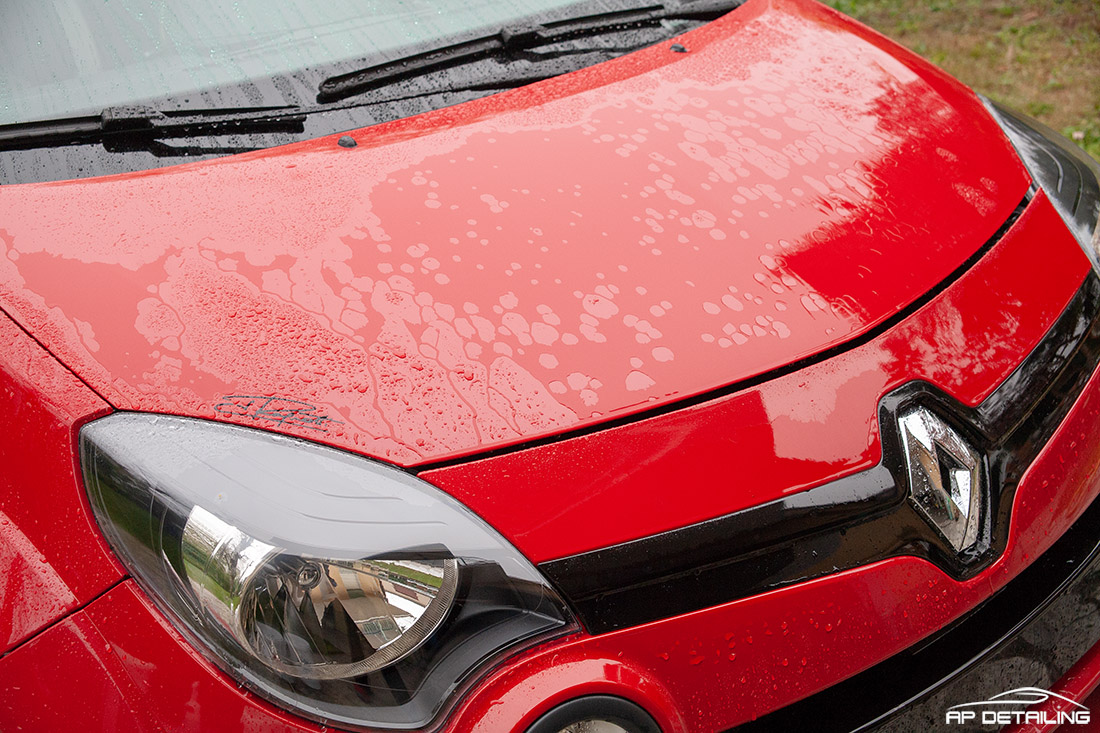 APdetailing - red hot chili pepper - Twingo RS Phase 2 _MG_1186