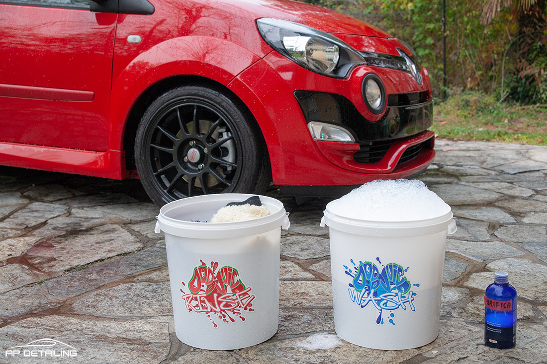 APdetailing - red hot chili pepper - Twingo RS Phase 2 _MG_1188